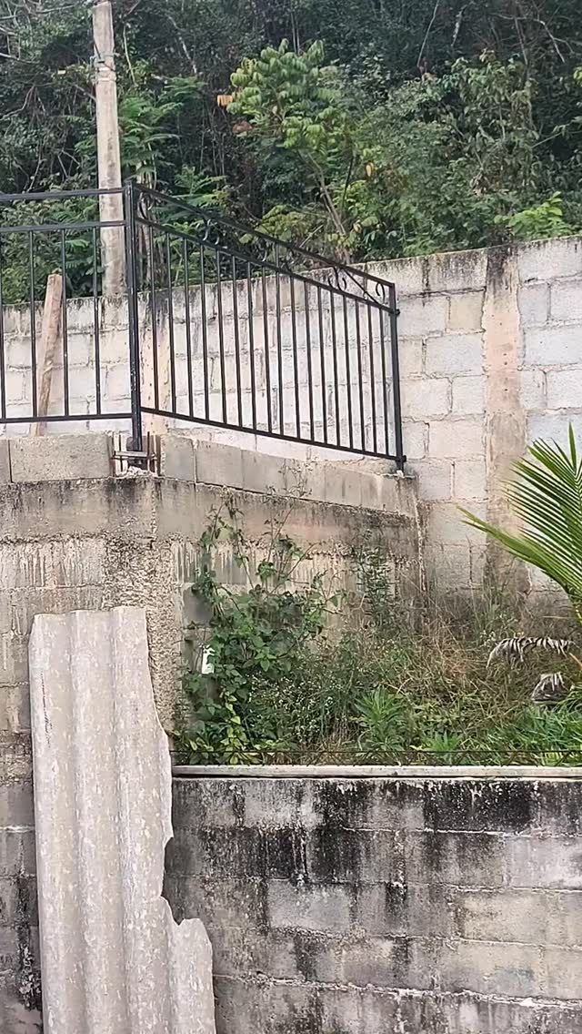 Projeto realizado pela Serralheria Monte Sinai